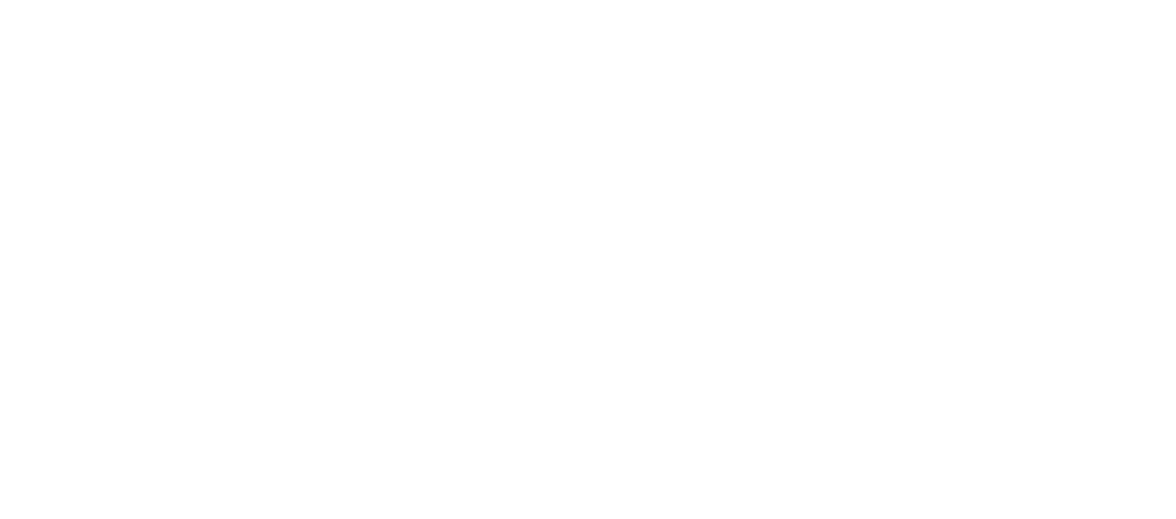 A2N logo
